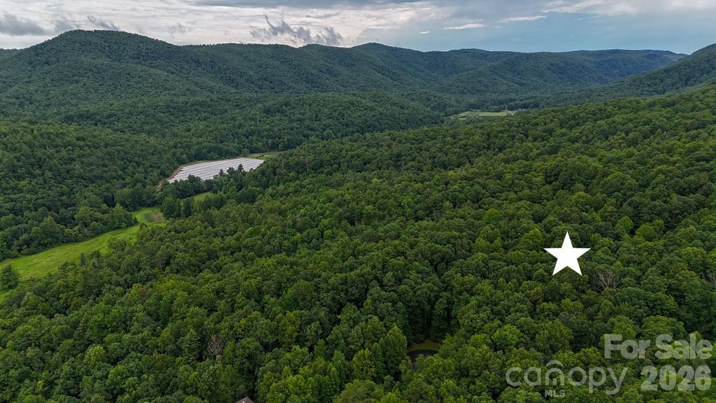 364 Big Bear Trail 24, Zirconia, NC 28790