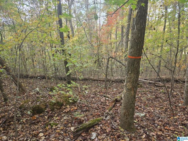 BOHANNON DRIVE, Moody, AL 35004