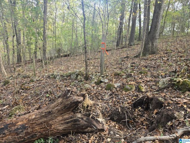 BOHANNON DRIVE, Moody, AL 35004