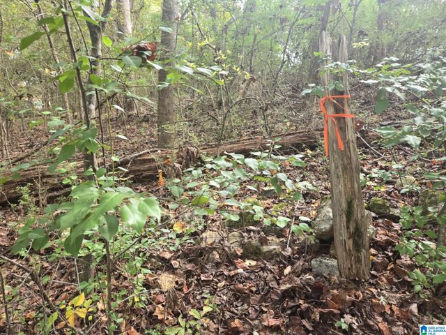 BOHANNON DRIVE, Moody, AL 35004