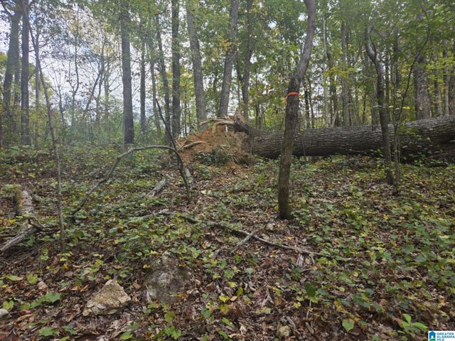 BOHANNON DRIVE, Moody, AL 35004