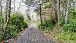 36815 Stackpole Road, Oysterville, WA 98641