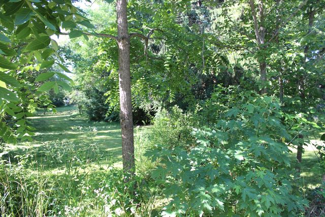 31918 Hillside Drive, Lakemoor, IL 60051