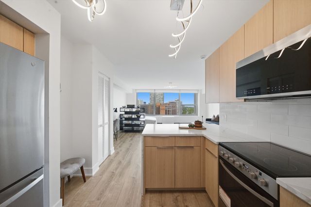 3600 N Lake Shore Drive 1816, Chicago, IL 60613