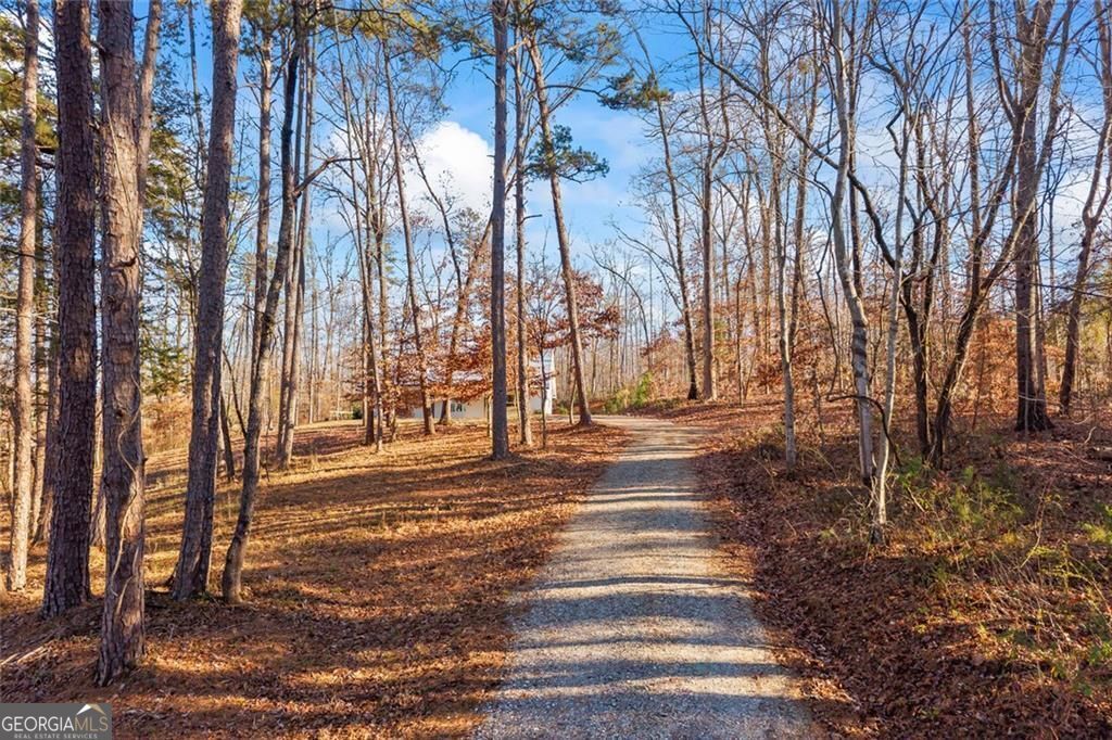 665 N Holcomb Drive, Martin, GA 30557 — photo 4