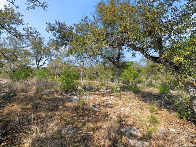 1333 Powder Ridge, New Braunfels, TX 78132