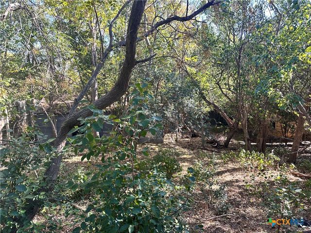 317 Yale Street, San Marcos, TX 78666