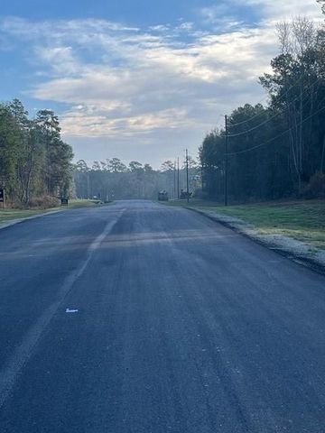 157 Rustic Ranch Drive, New Waverly, TX 77358