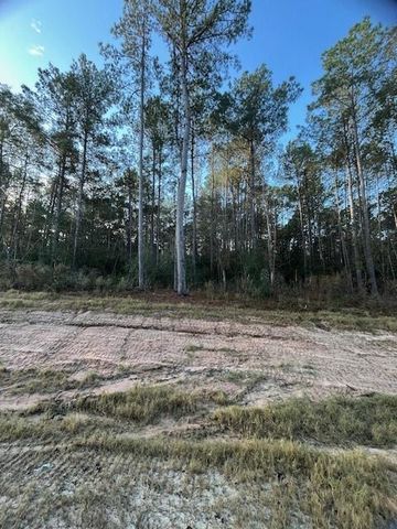 157 Rustic Ranch Drive, New Waverly, TX 77358