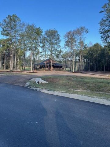 157 Rustic Ranch Drive, New Waverly, TX 77358