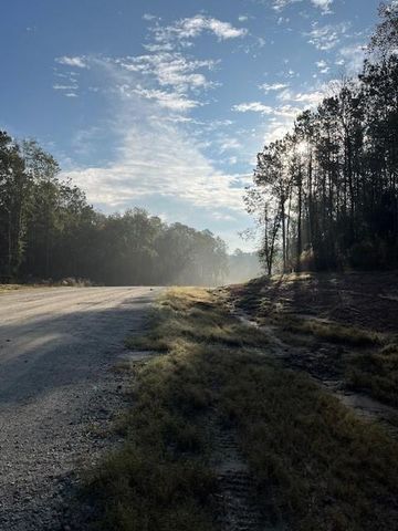 157 Rustic Ranch Drive, New Waverly, TX 77358