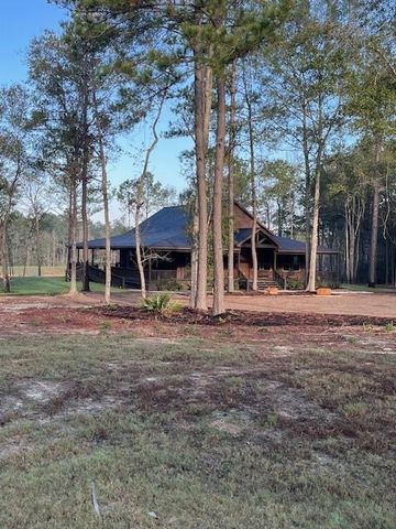 157 Rustic Ranch Drive, New Waverly, TX 77358