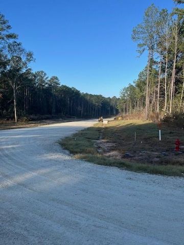 157 Rustic Ranch Drive, New Waverly, TX 77358