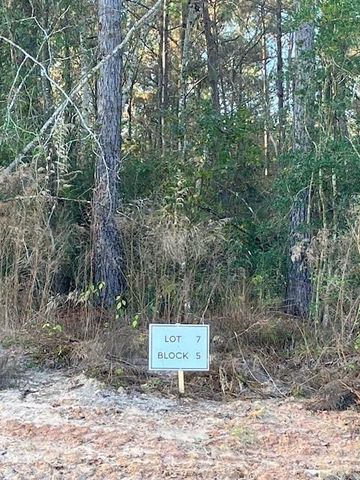 157 Rustic Ranch Drive, New Waverly, TX 77358