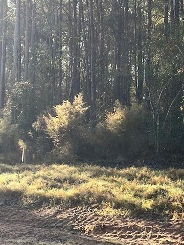 157 Rustic Ranch Drive, New Waverly, TX 77358