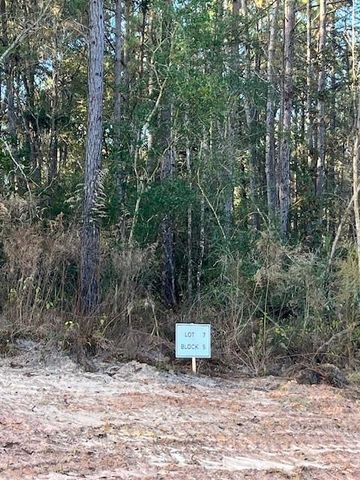 157 Rustic Ranch Drive, New Waverly, TX 77358