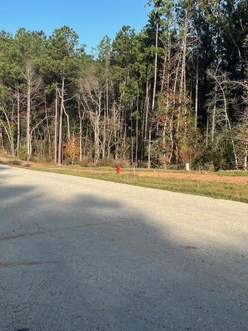 157 Rustic Ranch Drive, New Waverly, TX 77358