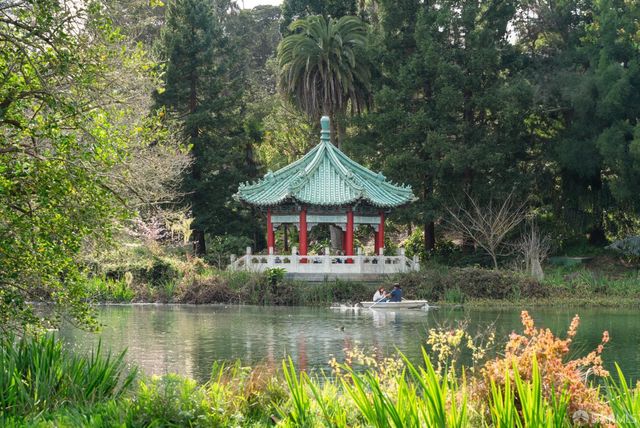 1239 19th Avenue, San Francisco, CA 94122