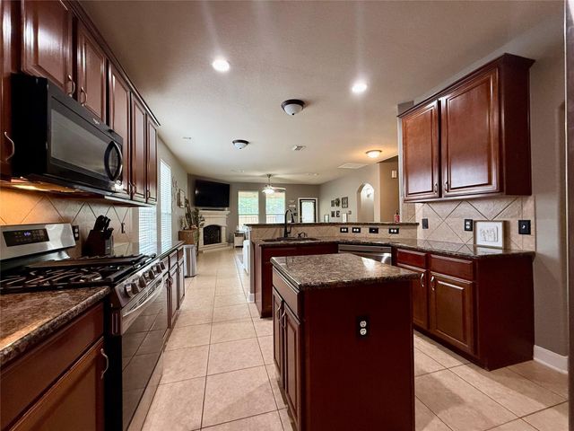 31310 Evergreen Park Lane, Conroe, TX 77385