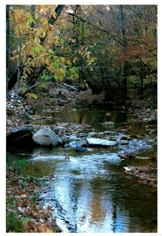 287 Vaughn Road, Glenwood, AR 71943