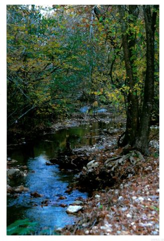 287 Vaughn Road, Glenwood, AR 71943