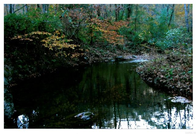 287 Vaughn Road, Glenwood, AR 71943