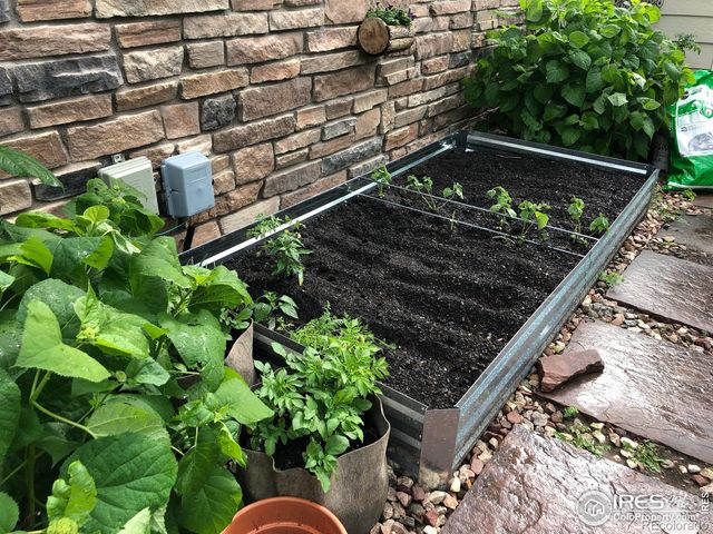 927 Hover Ridge Circle, Longmont, CO 80501