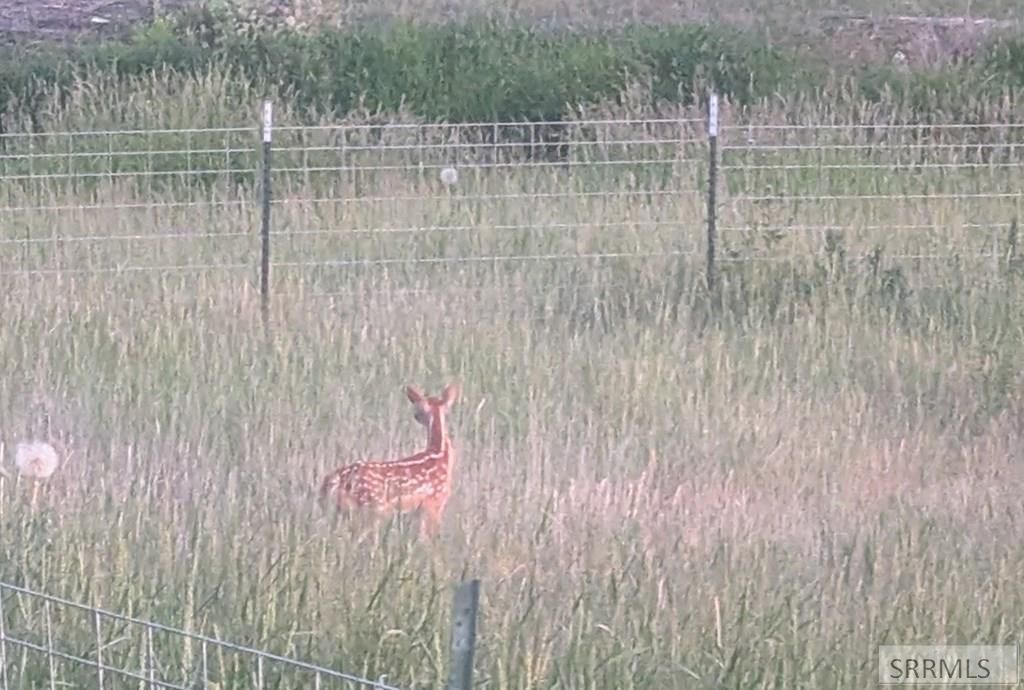 Image 5 of property listing at TBD 589 N 3600 E, Menan, ID 83434