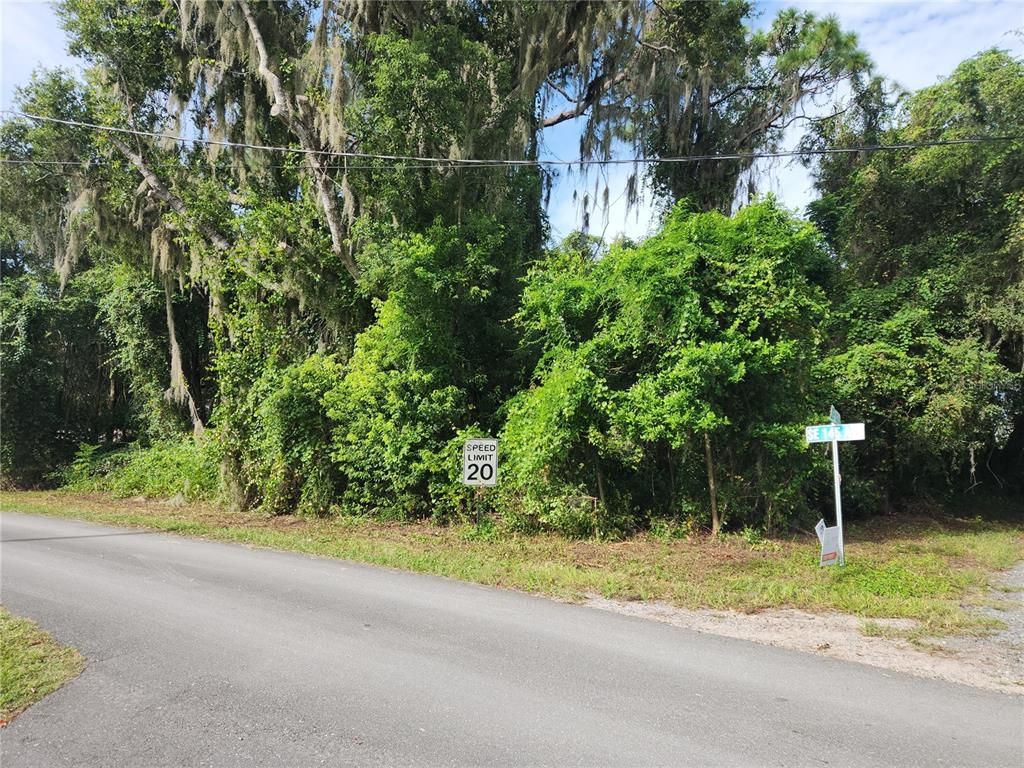 0 SE 143RD LANE, Weirsdale, FL 32195