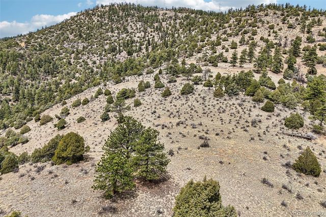 257 Wildlife Trail, Idaho Springs, CO 80453