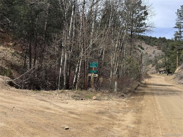 257 Wildlife Trail, Idaho Springs, CO 80453