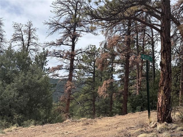 257 Wildlife Trail, Idaho Springs, CO 80453