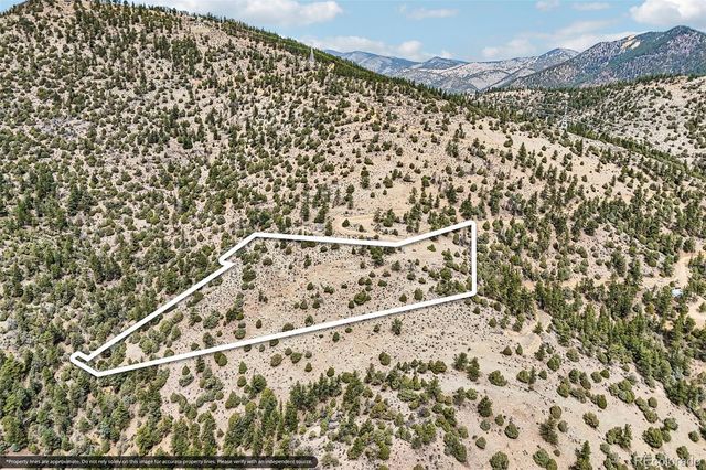 257 Wildlife Trail, Idaho Springs, CO 80453