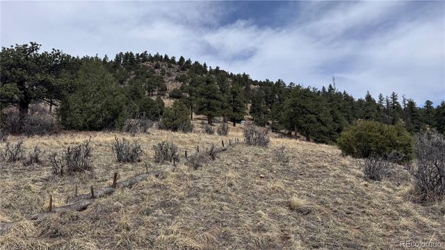 257 Wildlife Trail, Idaho Springs, CO 80453
