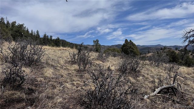 257 Wildlife Trail, Idaho Springs, CO 80453