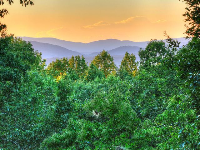 169 Walnut Mountain Road, Ellijay, GA 30540