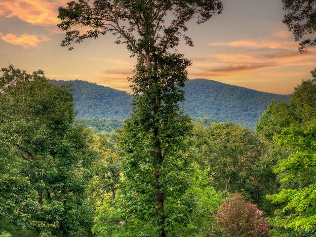 169 Walnut Mountain Road, Ellijay, GA 30540