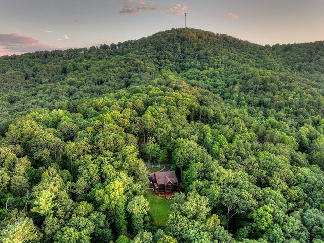 169 Walnut Mountain Road, Ellijay, GA 30540