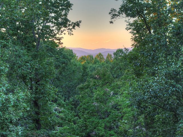 169 Walnut Mountain Road, Ellijay, GA 30540