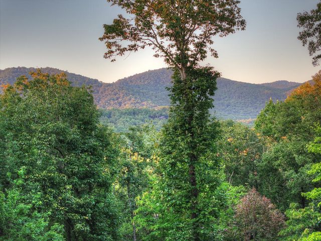 169 Walnut Mountain Road, Ellijay, GA 30540