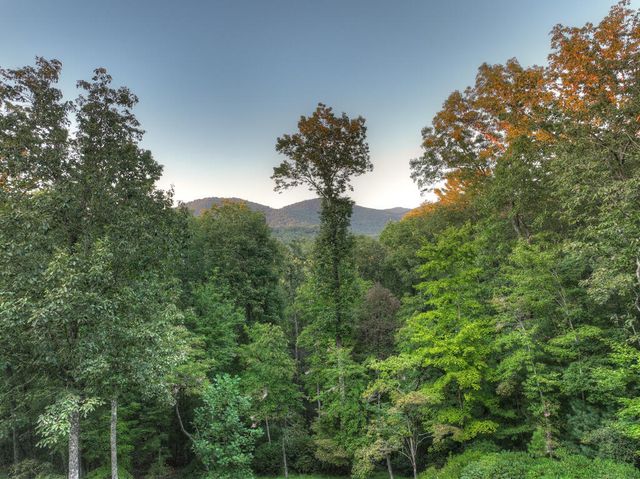 169 Walnut Mountain Road, Ellijay, GA 30540