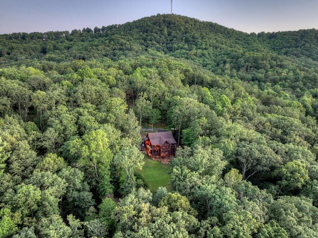 169 Walnut Mountain Road, Ellijay, GA 30540