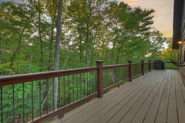 169 Walnut Mountain Road, Ellijay, GA 30540