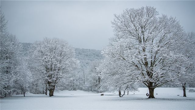 310 County Road 16, Orange, NY 14870