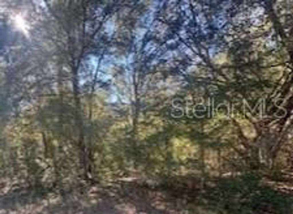 10014 N ATHENIA DRIVE, Citrus Springs, FL 34434