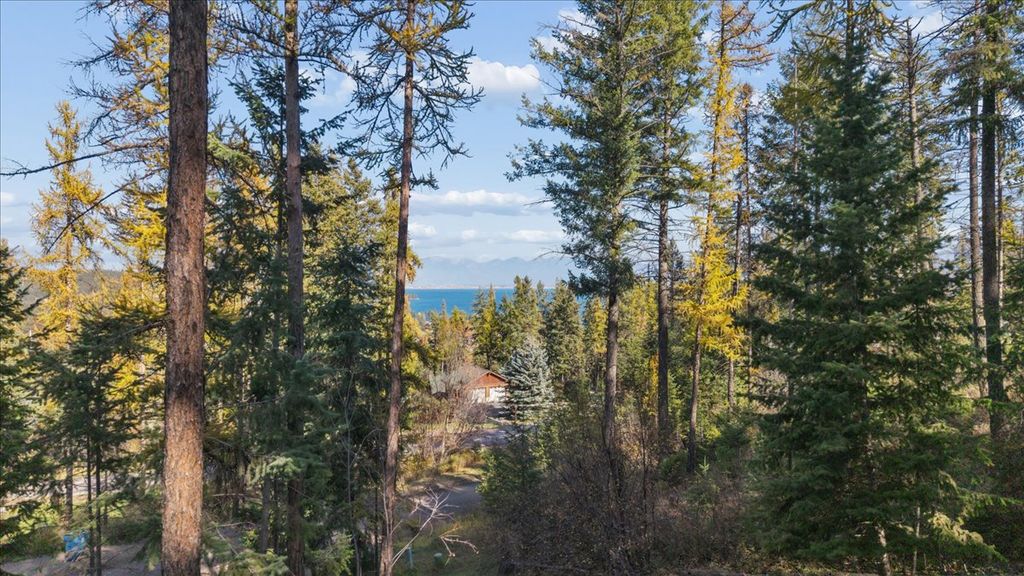 163 Pine Needle Drive, Lakeside, MT 59922 photo 3