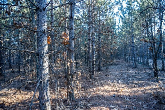 Lot 4 11th Drive, Friendship, WI 53934