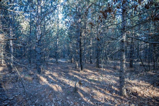Lot 4 11th Drive, Friendship, WI 53934