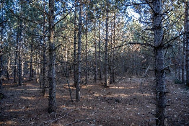 Lot 4 11th Drive, Friendship, WI 53934