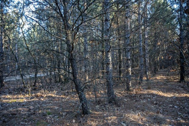 Lot 4 11th Drive, Friendship, WI 53934